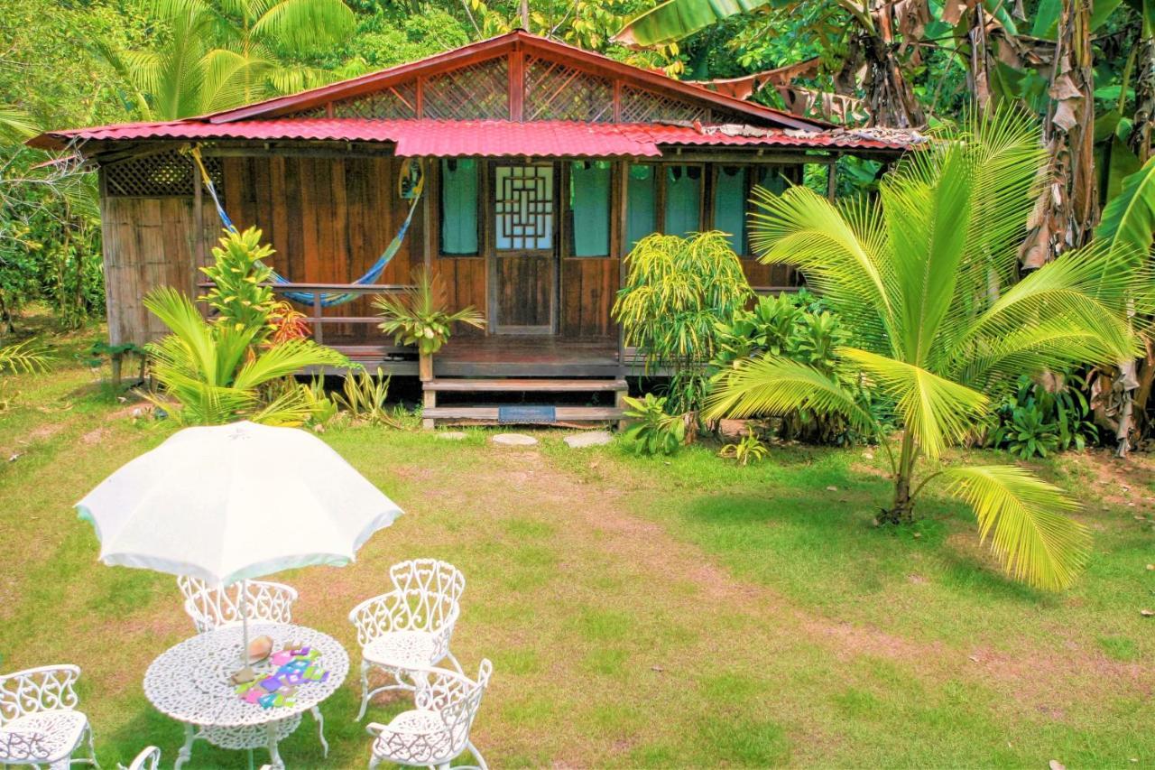 Ocean Forest Ecolodge San Pedrillo Extérieur photo