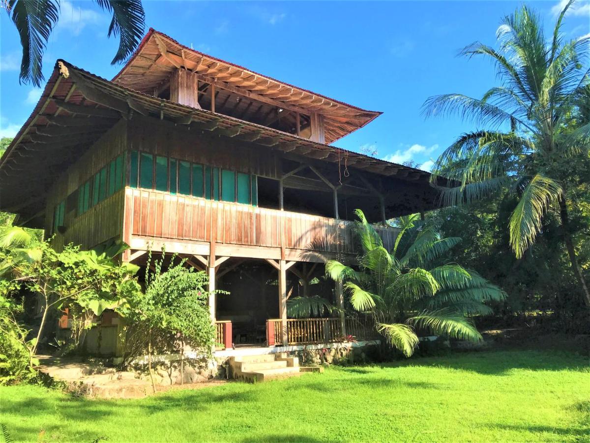 Ocean Forest Ecolodge San Pedrillo Extérieur photo