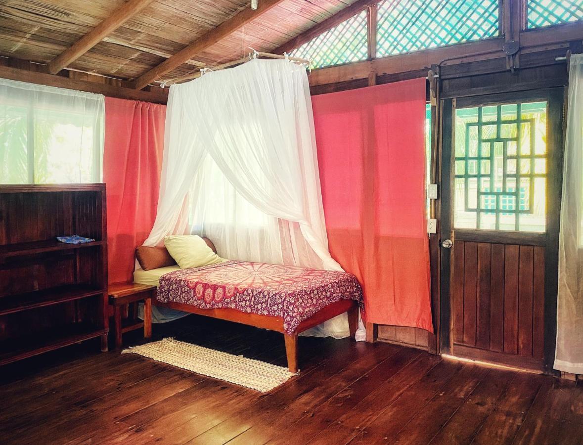 Ocean Forest Ecolodge San Pedrillo Extérieur photo