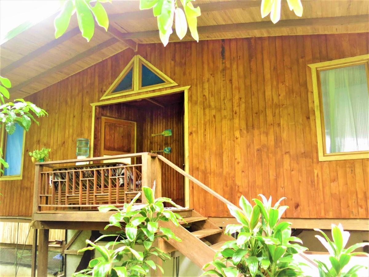 Ocean Forest Ecolodge San Pedrillo Extérieur photo