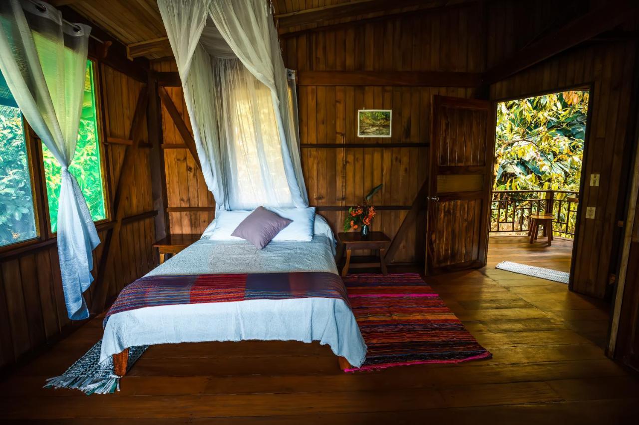 Ocean Forest Ecolodge San Pedrillo Extérieur photo