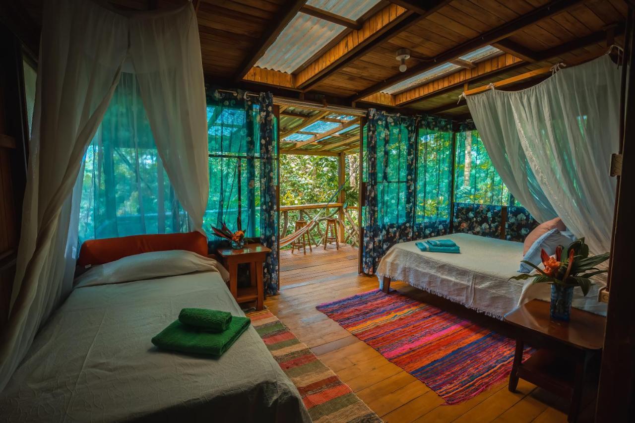 Ocean Forest Ecolodge San Pedrillo Extérieur photo