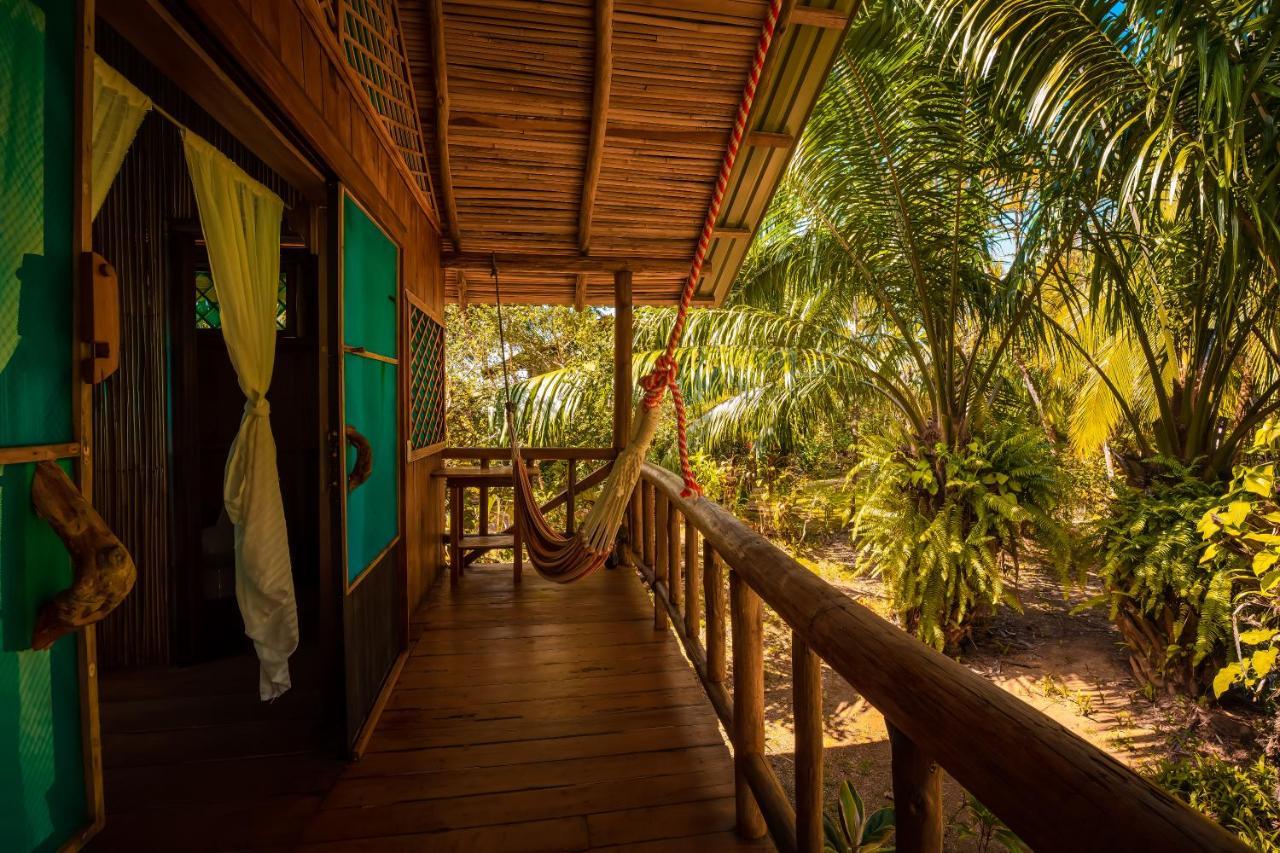 Ocean Forest Ecolodge San Pedrillo Extérieur photo