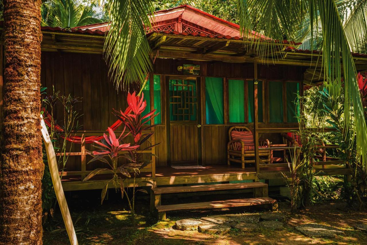 Ocean Forest Ecolodge San Pedrillo Extérieur photo
