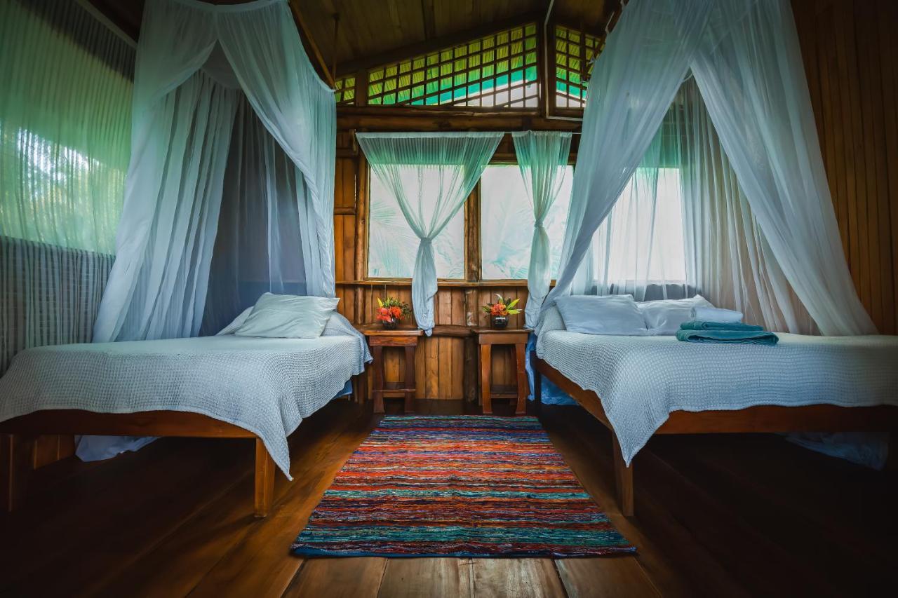 Ocean Forest Ecolodge San Pedrillo Extérieur photo