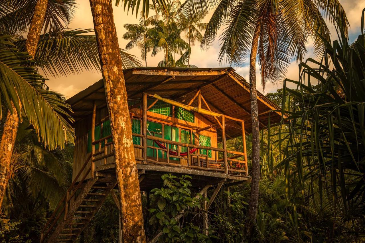 Ocean Forest Ecolodge San Pedrillo Extérieur photo