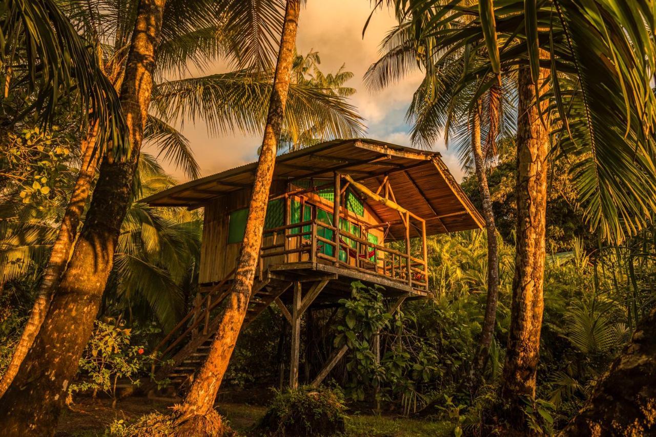 Ocean Forest Ecolodge San Pedrillo Extérieur photo