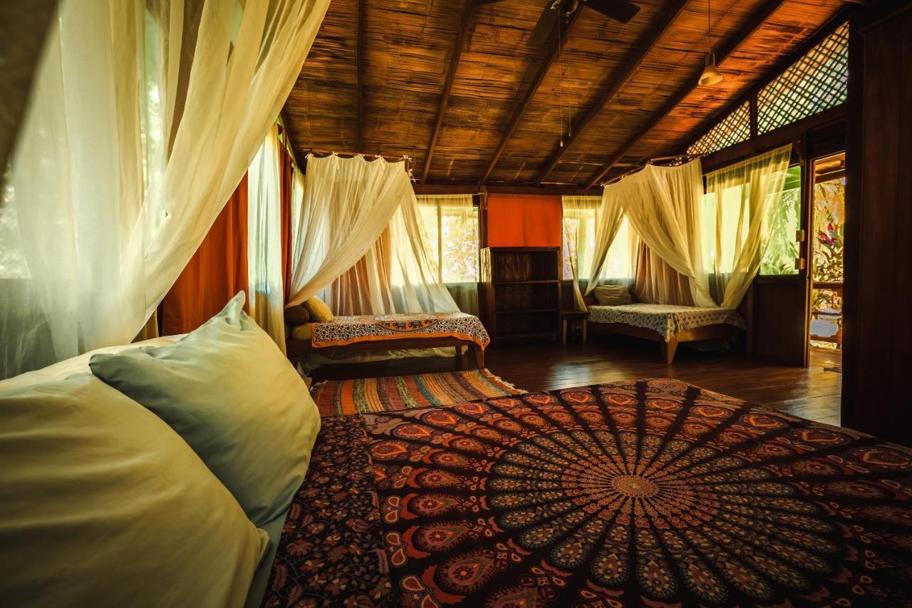 Ocean Forest Ecolodge San Pedrillo Extérieur photo