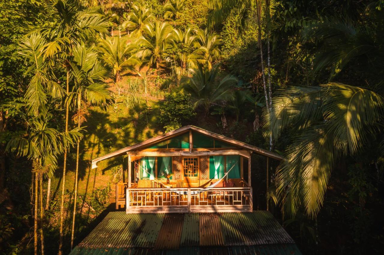 Ocean Forest Ecolodge San Pedrillo Extérieur photo