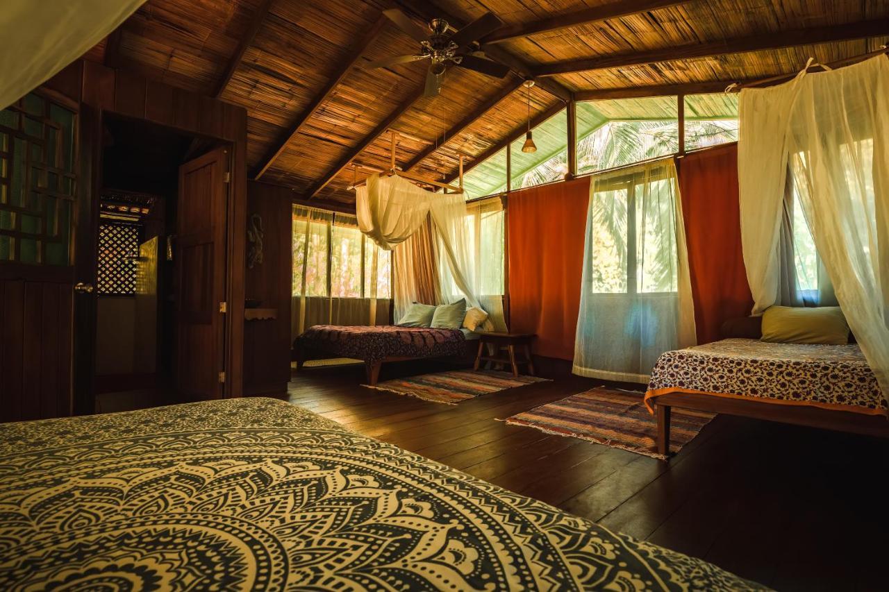 Ocean Forest Ecolodge San Pedrillo Extérieur photo