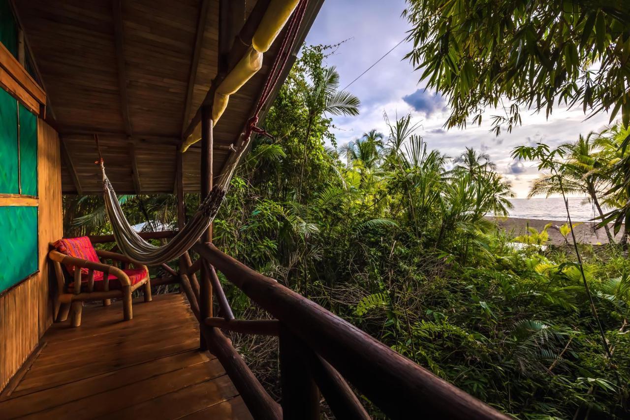 Ocean Forest Ecolodge San Pedrillo Extérieur photo
