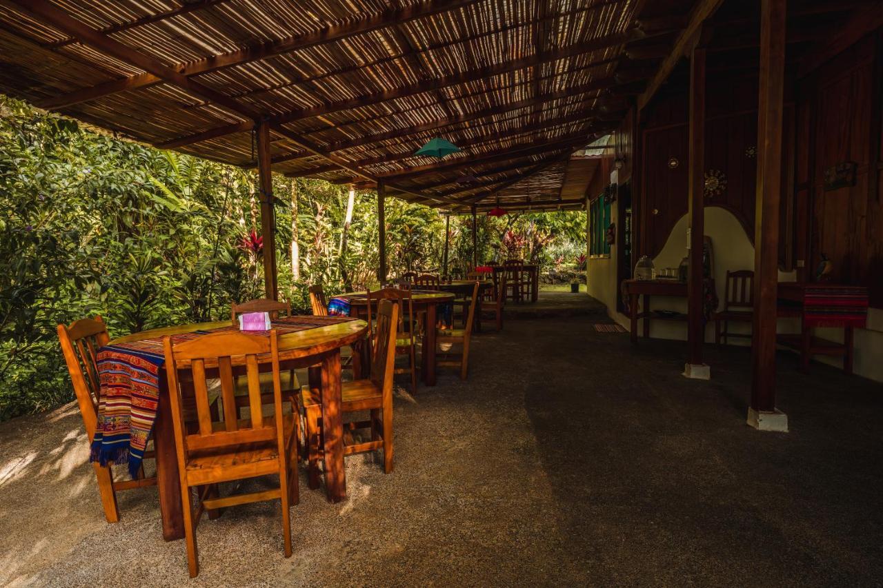 Ocean Forest Ecolodge San Pedrillo Extérieur photo