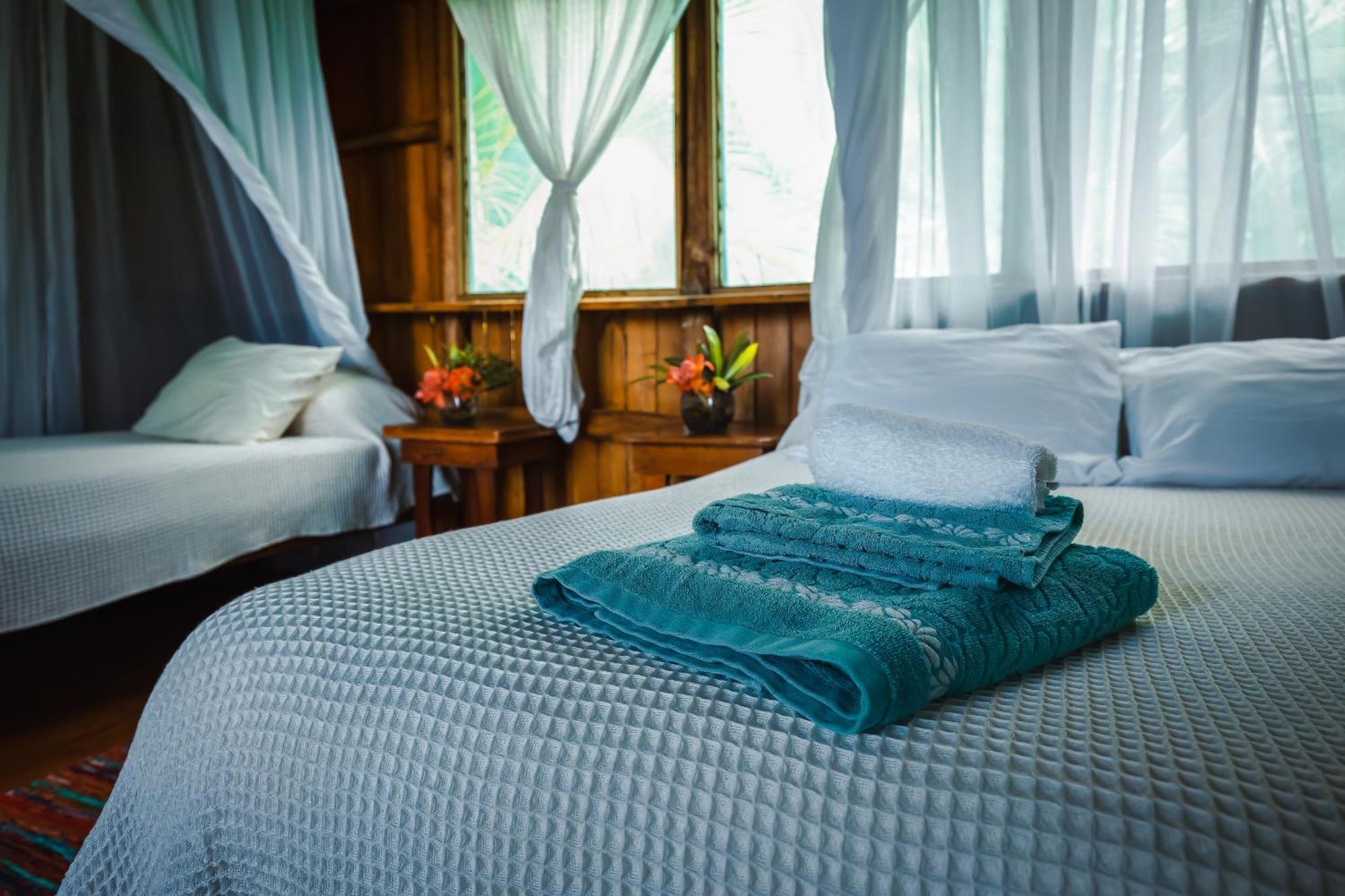 Ocean Forest Ecolodge San Pedrillo Extérieur photo
