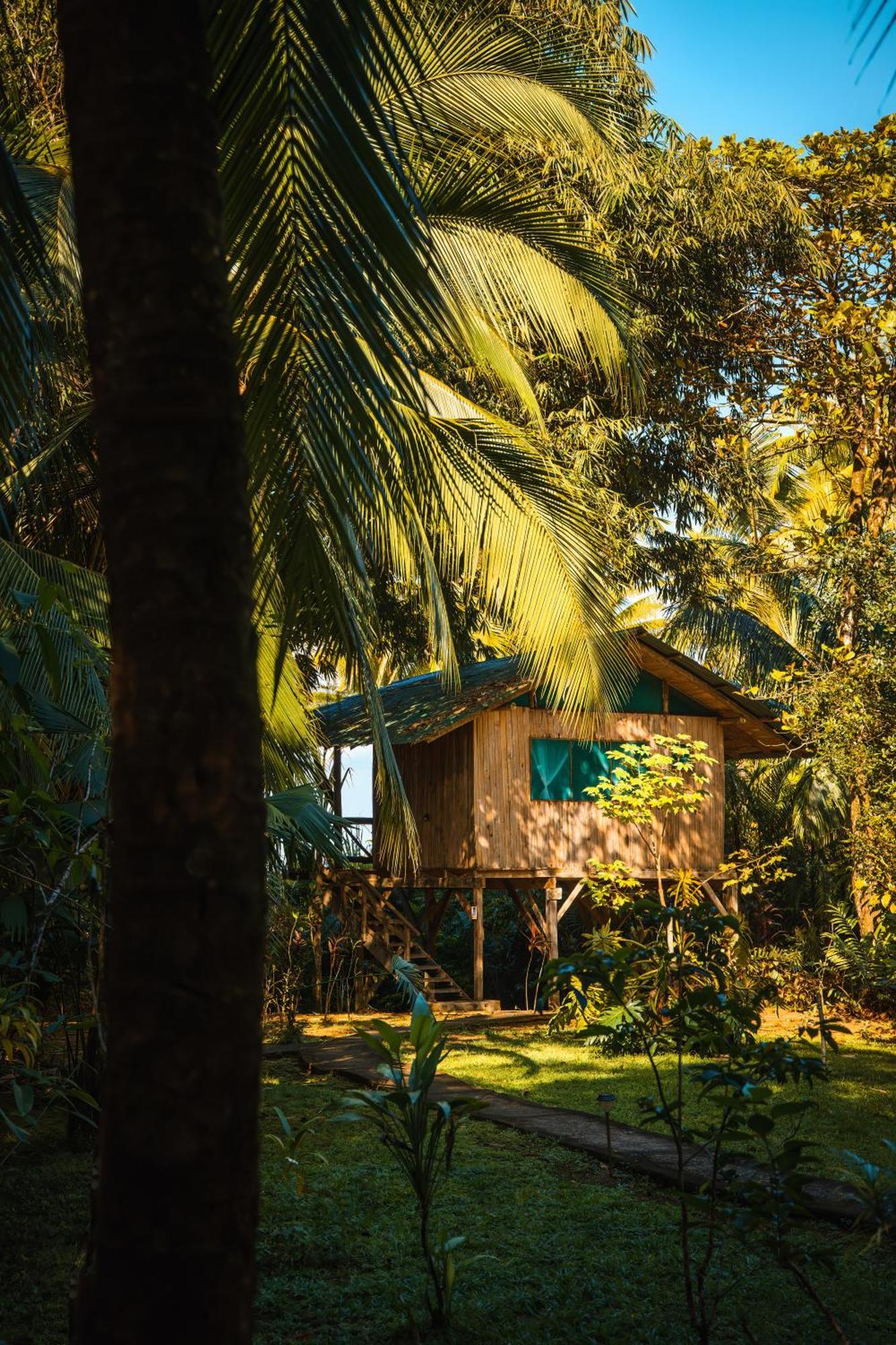 Ocean Forest Ecolodge San Pedrillo Extérieur photo