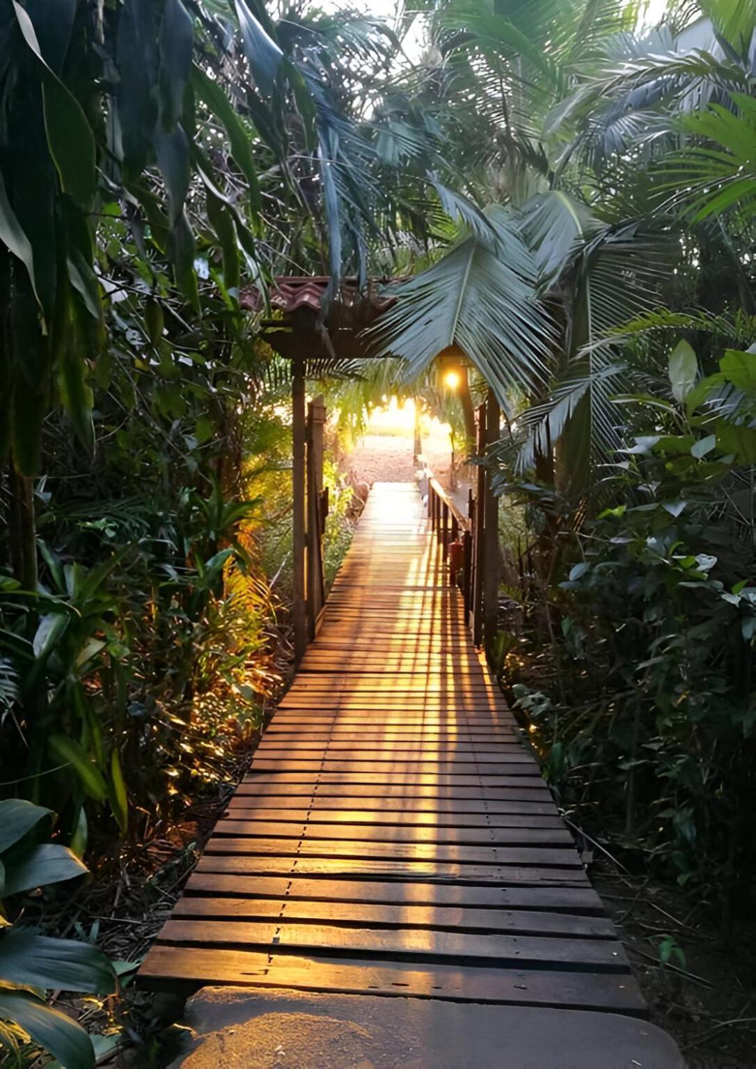 Ocean Forest Ecolodge San Pedrillo Extérieur photo
