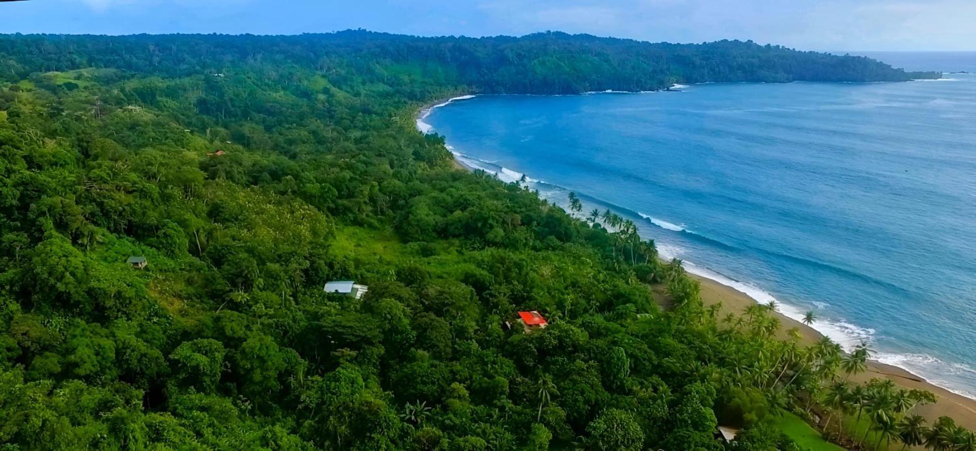 Ocean Forest Ecolodge San Pedrillo Extérieur photo