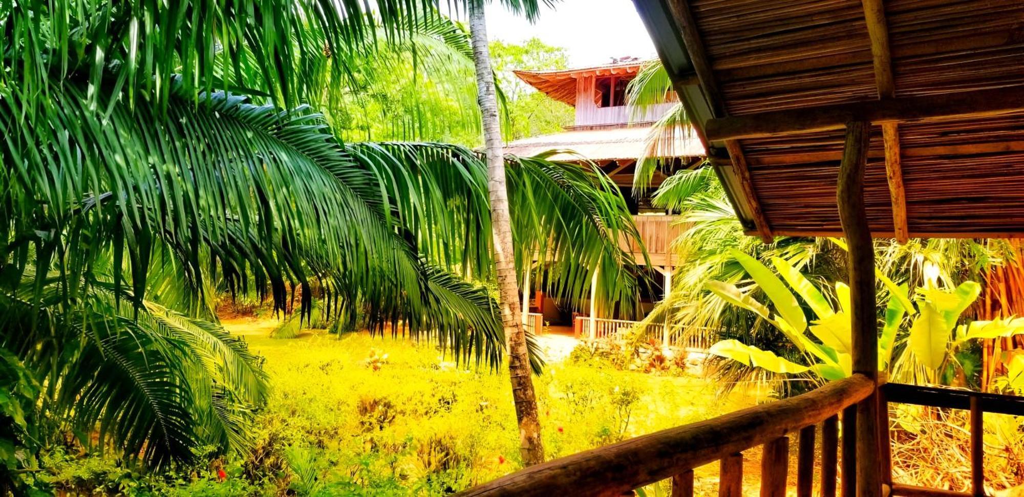 Ocean Forest Ecolodge San Pedrillo Extérieur photo