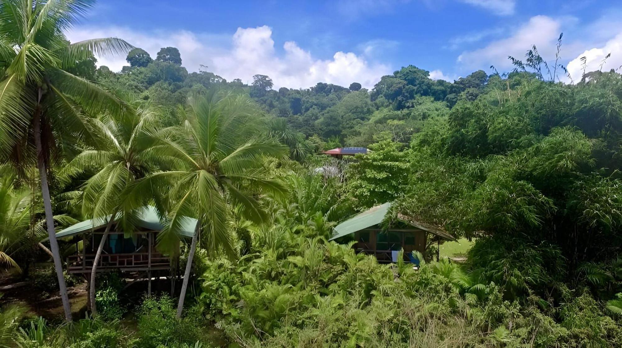 Ocean Forest Ecolodge San Pedrillo Extérieur photo