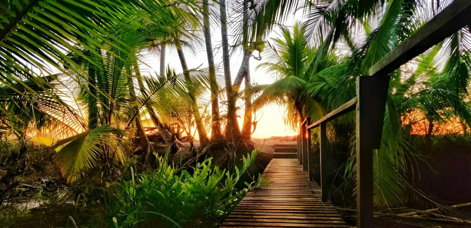 Ocean Forest Ecolodge San Pedrillo Extérieur photo