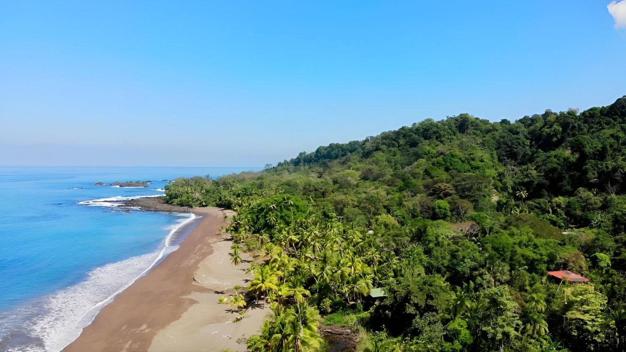 Ocean Forest Ecolodge San Pedrillo Extérieur photo