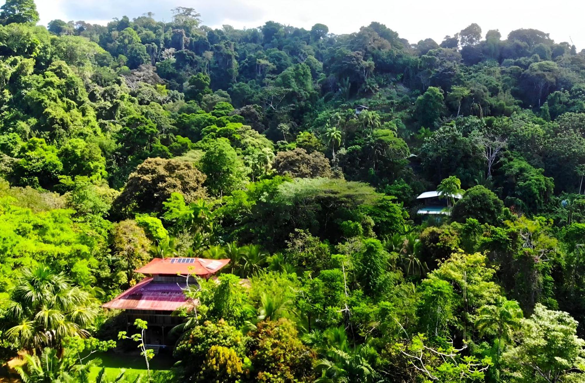 Ocean Forest Ecolodge San Pedrillo Extérieur photo